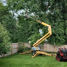 Best Grass Overseeding  in Lake Tansi, TN