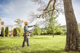 Best Aeration Services  in Lake Tansi, TN